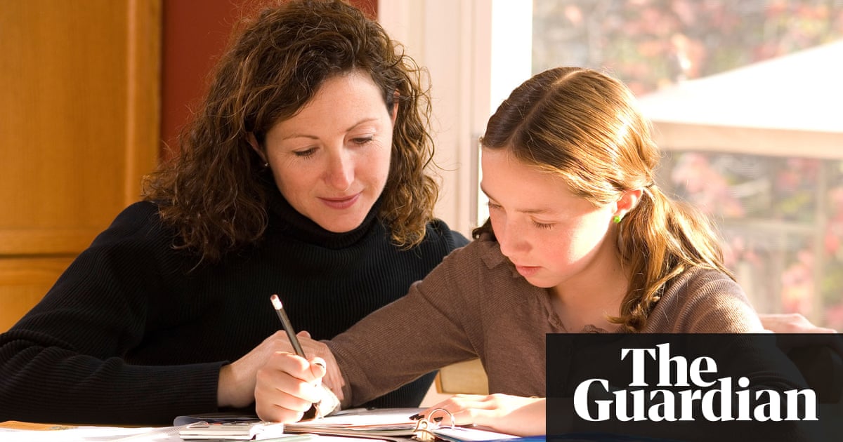 Parents hit out at plans to increase oversight of home education