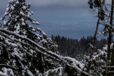 The Oakland’s Bay Bridge and the San Francisco Bay are seen through snow-covered trees.