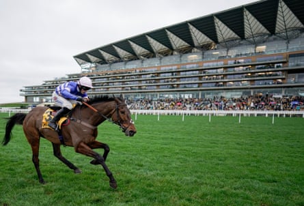 Harry Cobden rides Pic D'Orhy across the grass track at Ascot racecourse.