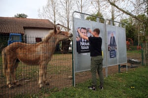 Ahetz, FranceAn employee watched by a horse pastes campaign posters of French presidential candidates for election in Ahetz, southwestern France.