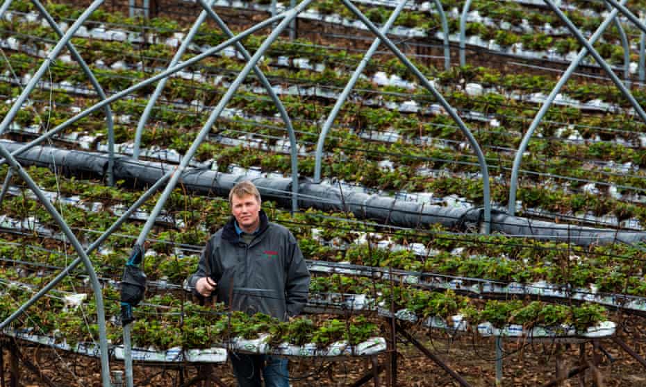 James Porter at his fruit farm in Scryne, Angus.
