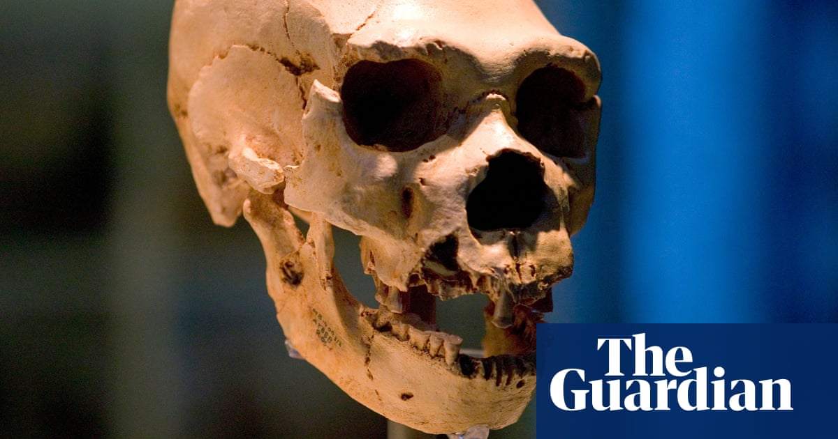 Scientists find evidence of 'ghost population' of ancient humans