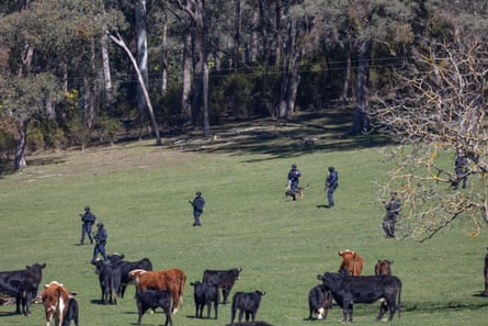 Heavily armed police with sniffer dogs search a property along the Buckland Valley Road