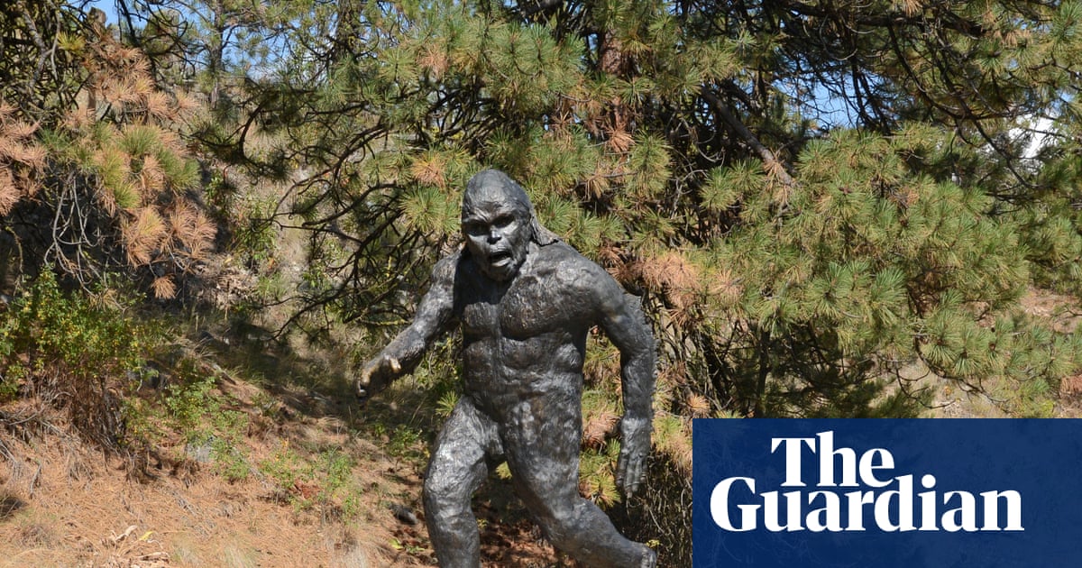 Sasquatch ‘sightings’ reignite fervour and scepticism about ape-like beast