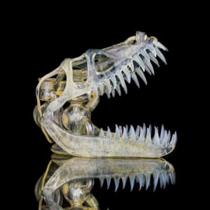 A glass bong made by Ryan ‘Buck’ Harris.