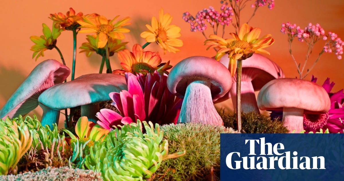 Setas con vista: joyas fotográficas de Images Vevey – en imágenes | Fotografía Setas con vista: joyas fotográficas de Images Vevey – en imágenes | Fotografía