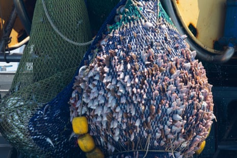 A fly-shooter vessel's net bulges with fish
