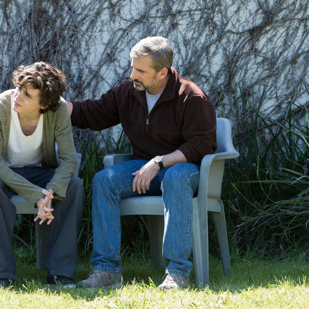 Beautiful Boy Review Precious Tale Of Addiction Woe Beautiful Boy The Guardian Beautiful Boy Review Precious Tale Of Addiction Woe Beautiful Boy The Guardian