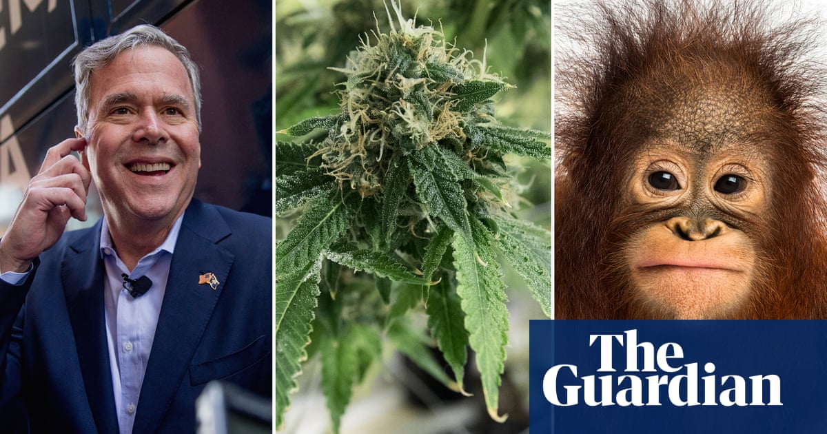 Can you spot the 'real' fake news story? quiz Donald Trump The