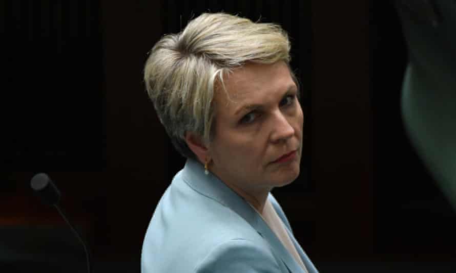 Labor’s education spokesperson Tanya Plibersek says Australian universities should be able to show students freedom of thought.