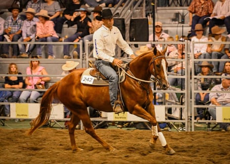 Peelvale Truce, an 8-year-old Australian Stock Horse gelding, sold for $110,000