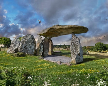 Standing stones in Wales and wildflowers