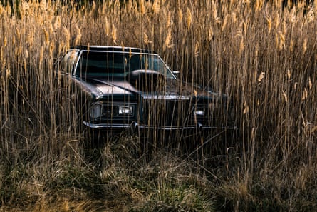 An abandoned near Deal Island is enveloped by phragmites, grass found in wetlands across the world.