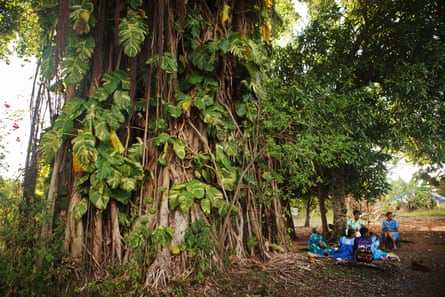 People sit beneath a banyan tree, a centrepiece of village life in Ifira, Vanuatu.