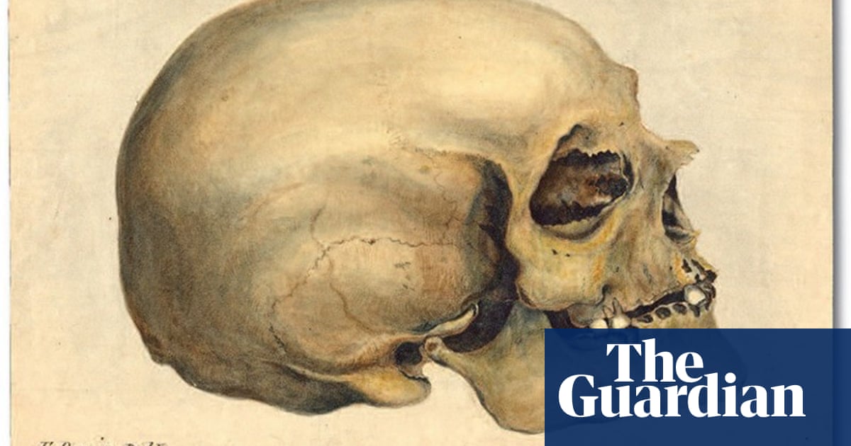 Ivy League university set to rebury skulls of Black people kept for centuries