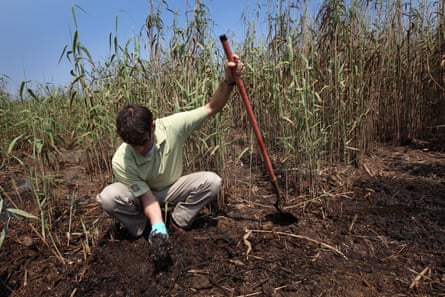 Garret Graves diggs up oiled soil in a coastal marsh after the BP oil spill in 2011.