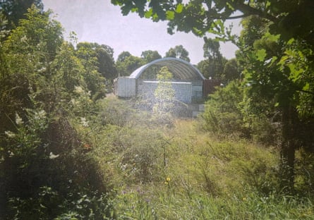 An overgrown field in a cemetery