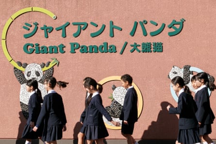 School children leave the panda house