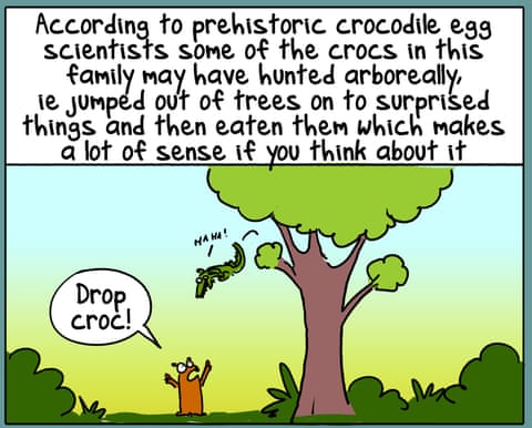 Cartoon by First Dog on the Moon titled Drop Crocs, panel 3