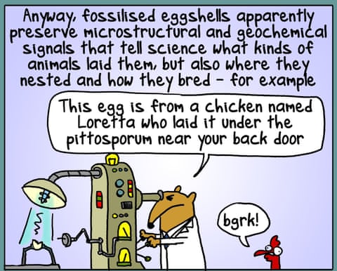 Cartoon by First Dog on the Moon titled Drop Crocs, panel 6