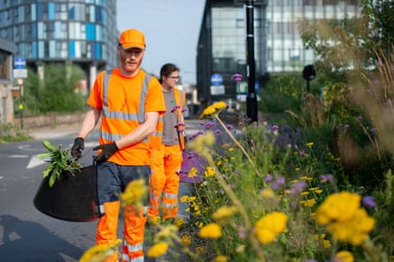 A man and a woman in bright orange overalls tending to a roadside bank of flowers