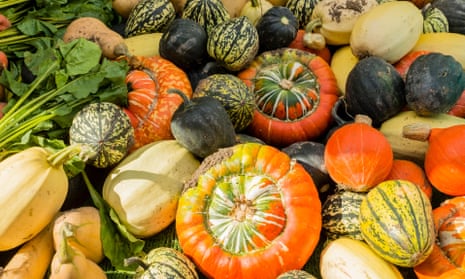 Megalomaniac squashes? Here’s how to keep them in check | Gardening ...
