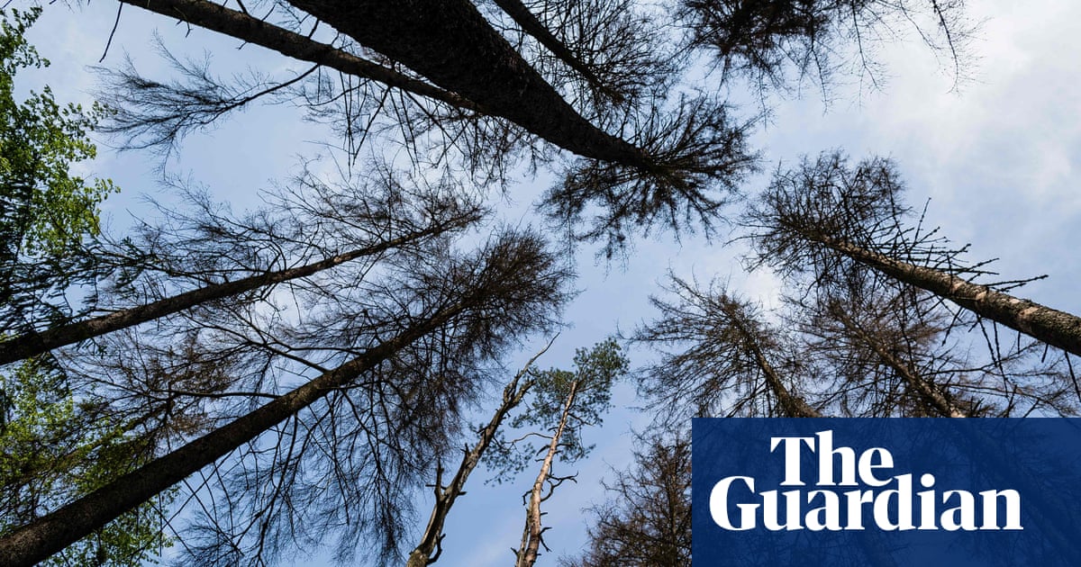Scientists warn MEPs against watering down EU deforestation law