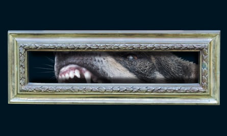 Composite image showing a letterbox with a snarling dog