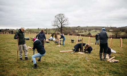 About 10 plant trees, with many protective cases for saplings seen stretching into the distance.