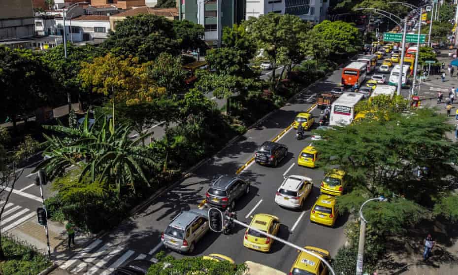 Street trees in downtown Medellin, Colombia.