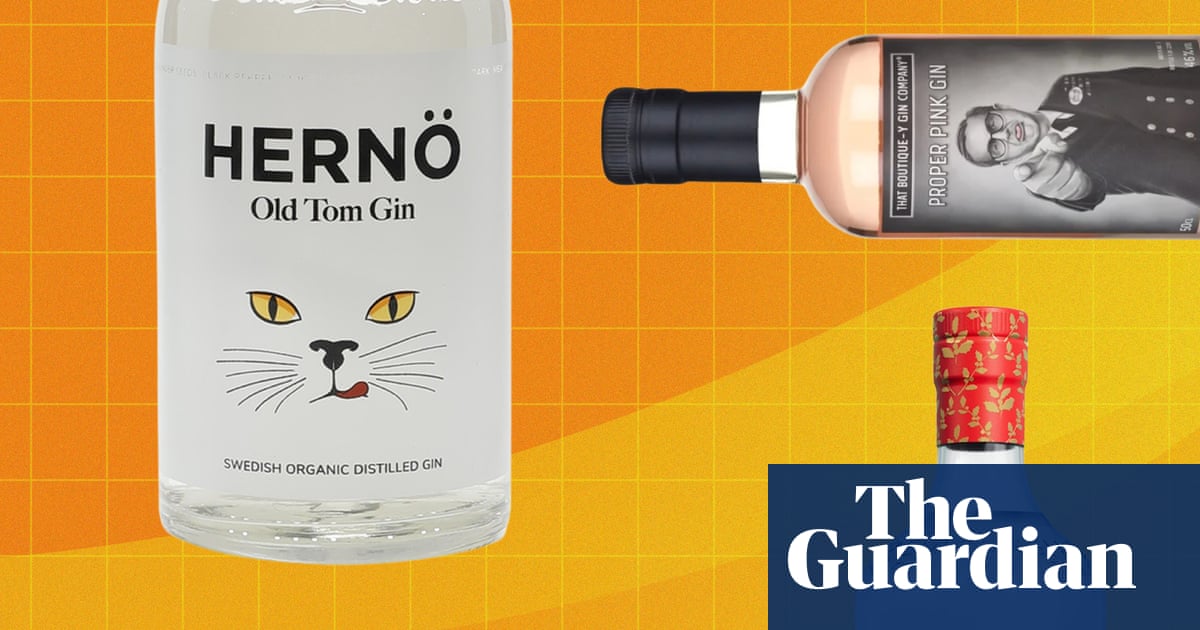 The best gins for G&Ts, martinis and negronis, from our taste test of 65