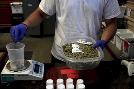 A worker weighs cannabis