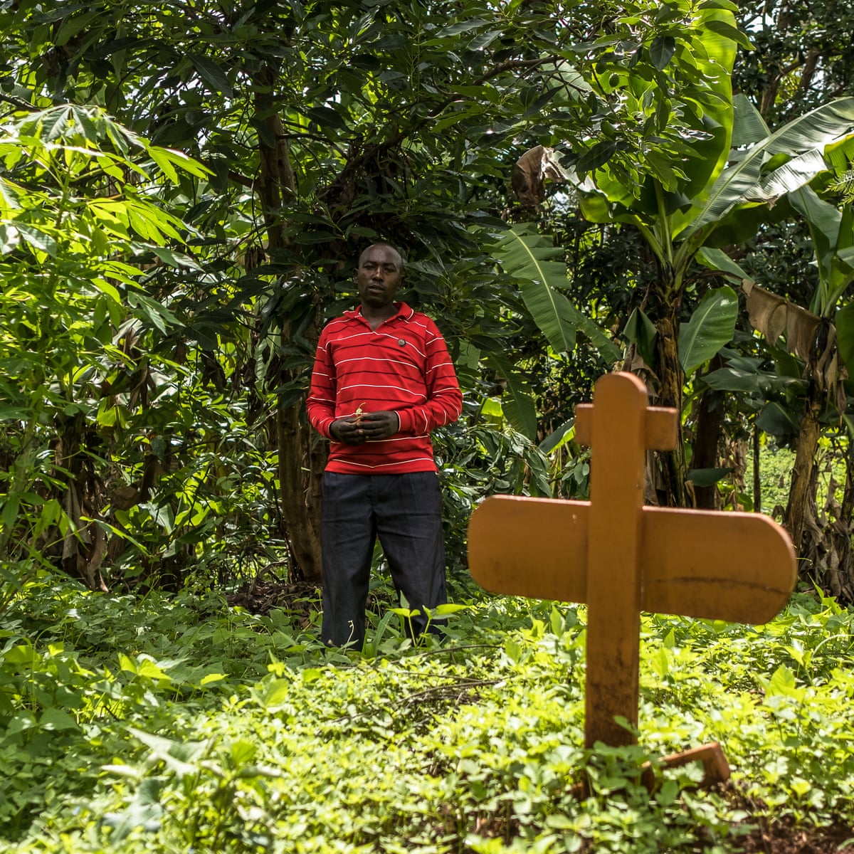 Guards at Del Monte pineapple farm in Kenya accused of killings | Kenya | The Guardian