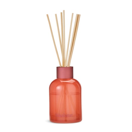 The best diffusers for your home: 22 genuinely great-smelling diffusers ...