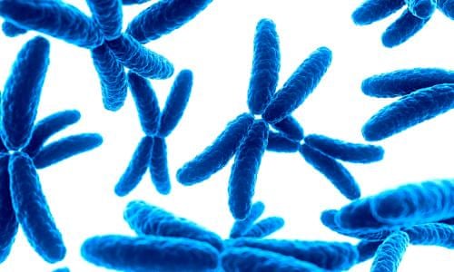 Get Licht am ende des tuneis sprueche For Free Licht Am Ende Des Tuneis Sprueche