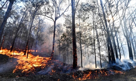 Fires north qld Fires north qld
