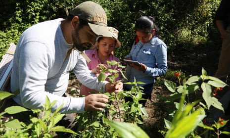 Crop Trust staff and their partners carried out collecting missions in Guatemala and Costa Rica.
