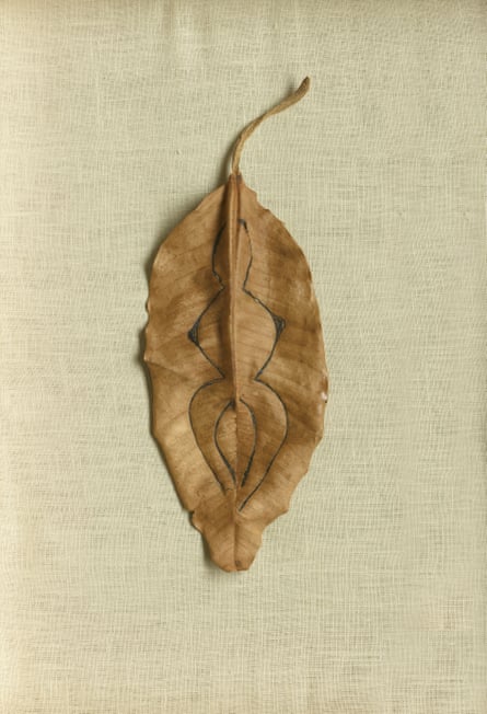 A dried leaf with a biro’d drawing of a woman’s figure on it