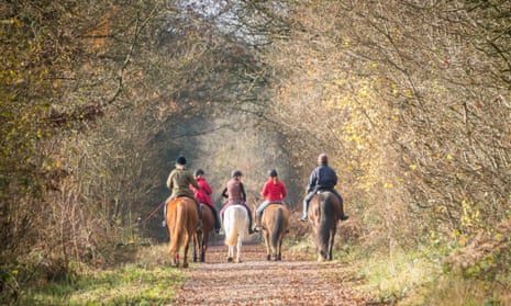 Five horse riders, riding through a forest in England