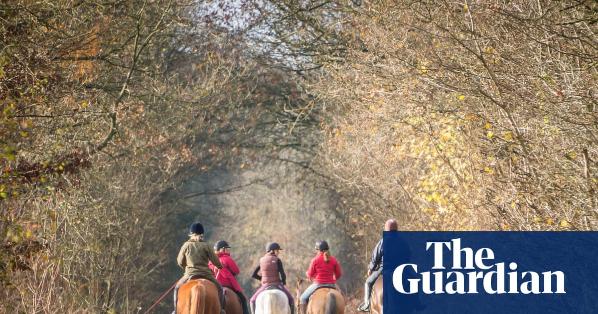 Should riders pick up after their horses, yay or neigh? | Letters