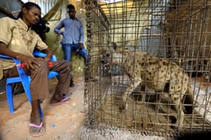 Mohamed Sheikh Yakub, a patient with mental illness, sits inside a treatment room with a hyena believed to exorcise evil spirits, in the Hodan district of Mogadishu, Somalia