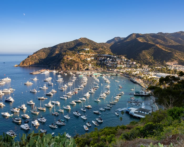 California Sailor Survives 30 Days Adrift: A Tale of Resilience or Government Neglect?