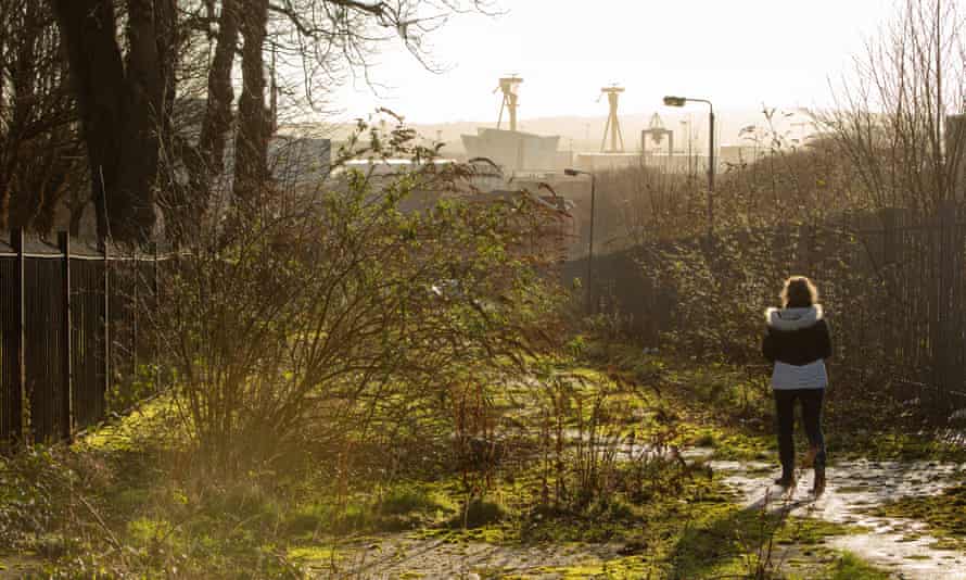 Grandes malezas reclaman gran parte de Mountcollyer Street.