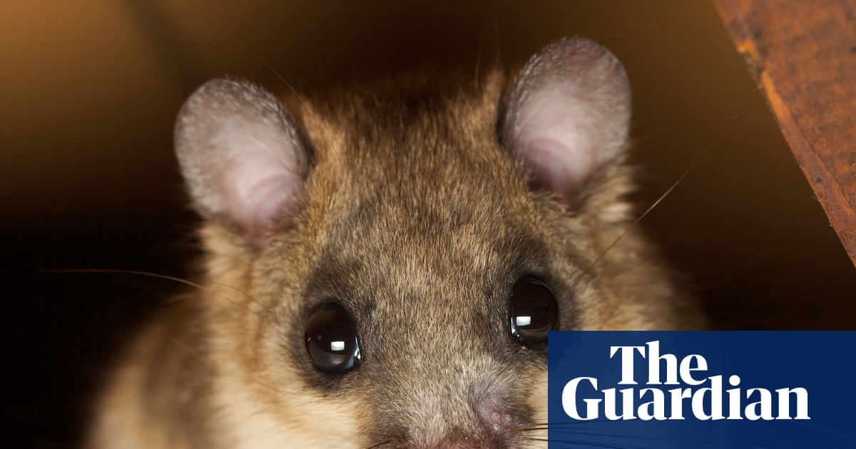 Thursday news quiz: A speeding car, a police faux pas and an app that’s gone too far?