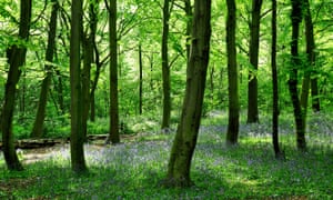 Two-hour 'dose' of nature significantly boosts health – study ...