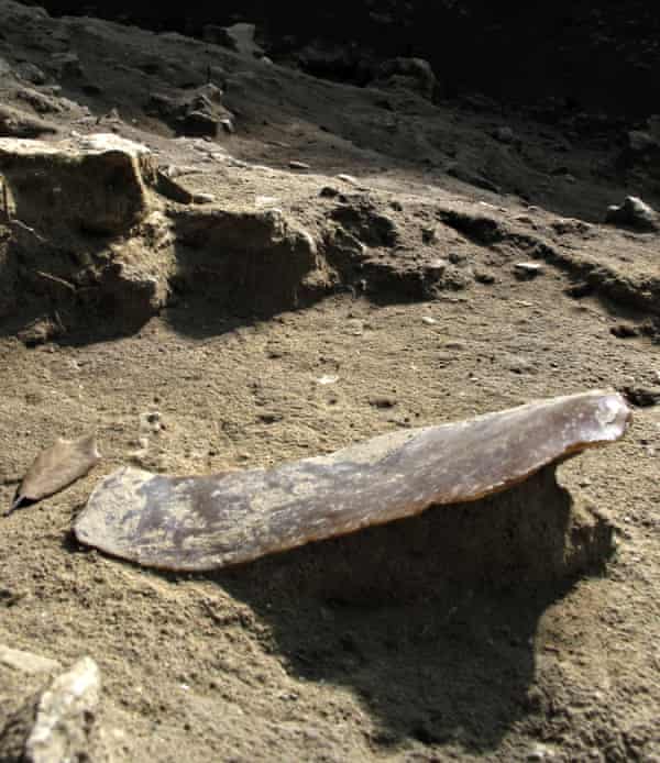A long blade discovered at Grotte Mandrin in the Rhone Valley
