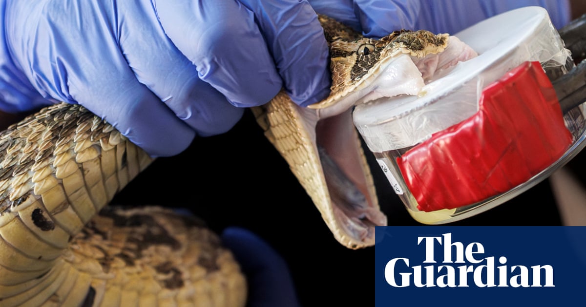 US army spends $1m on anti-snake venom drugs without independent testing