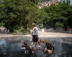 Europe’s heatwave drives electricity prices to new highs as demand soars Europe’s heatwave drives electricity prices to new highs as demand soars