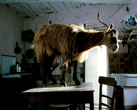 The GOAT? Le Quattro Volte