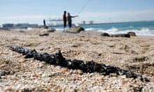 bp and the gulf of mexico oil spill case study
